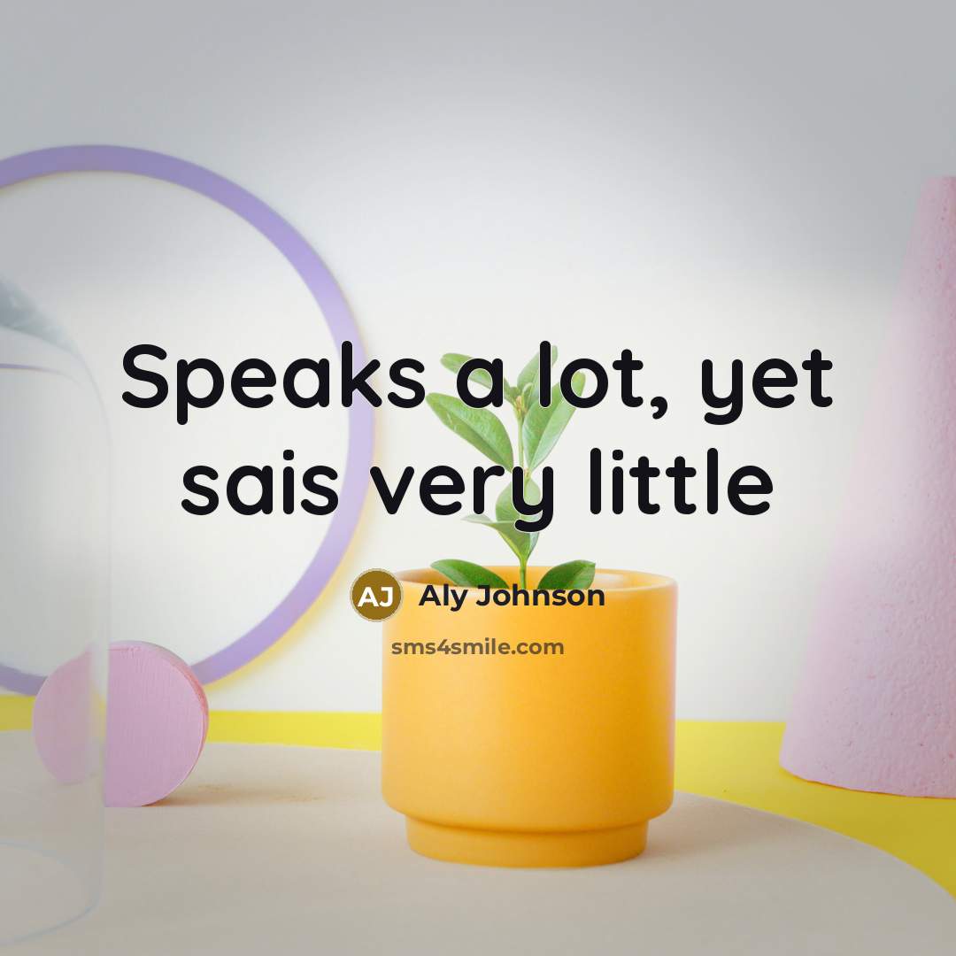“Speaks a lot, yet sais very little…” quote by Aly Johnson