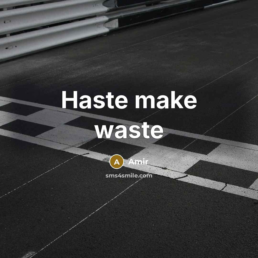 “Haste make waste” quote by Amir
