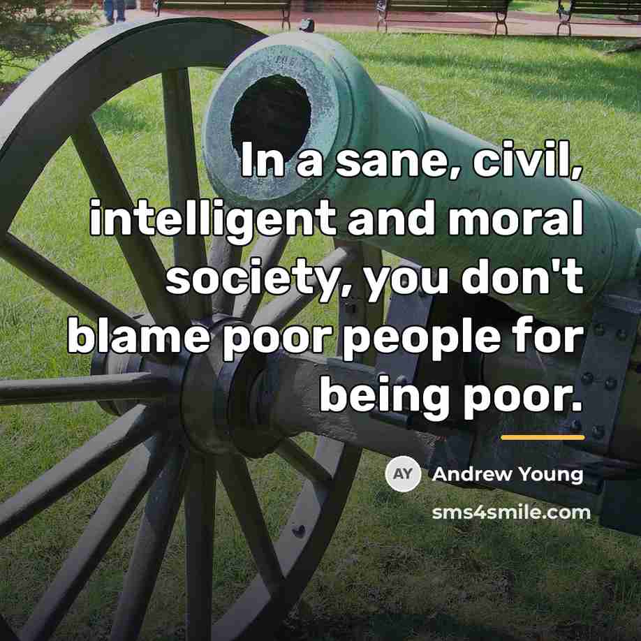 “In a sane, civil, intelligent and moral society, you don't…” quote by Andrew Young