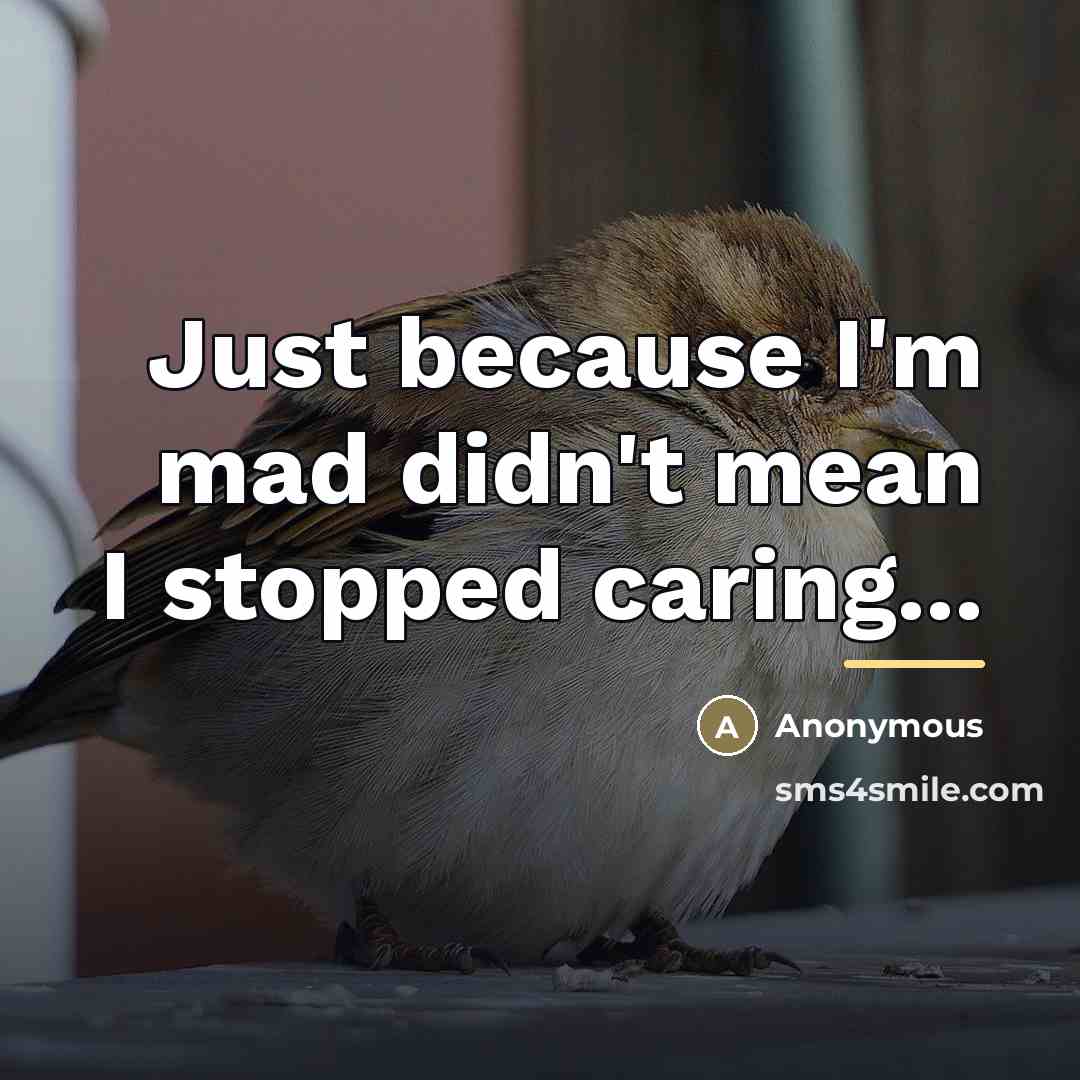 “Just because I'm mad didn't mean I stopped caring...…” quote by Anonymous