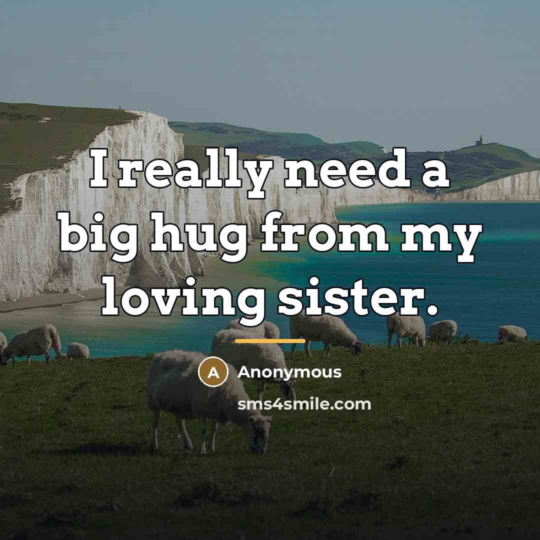 “I really need a big hug from my loving sister.…” quote by Anonymous