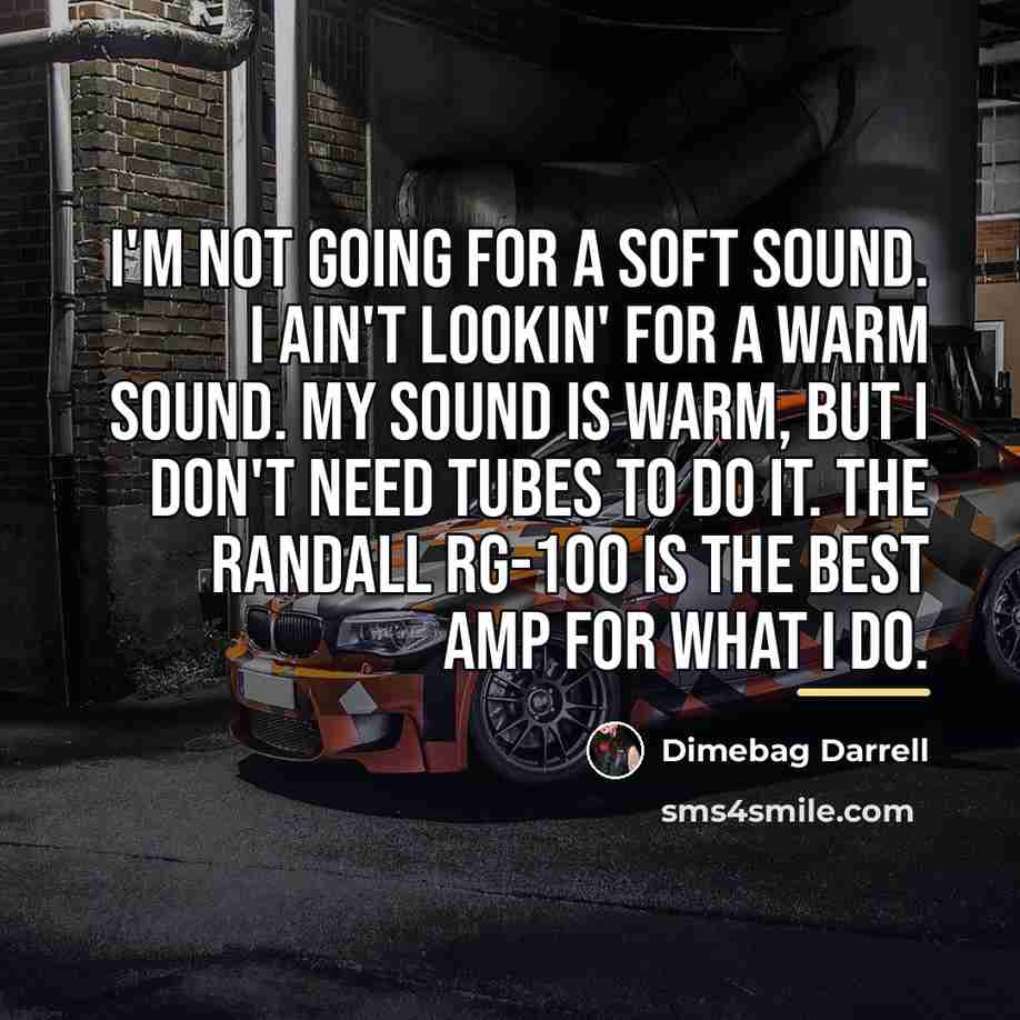 “I'm not going for a soft sound. I ain't lookin'…” quote by Dimebag Darrell