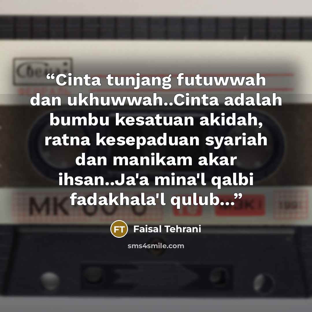 “Cinta tunjang futuwwah dan ukhuwwah..Cinta adalah bumbu kesatuan akidah, ratna kesepaduan syariah dan manikam akar ihsan..Ja'a mina'l qalbi fadakhala'l qulub...” quote by Faisal Tehrani