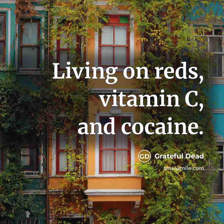 “Living on reds, vitamin C, and cocaine.…” quote by Grateful Dead