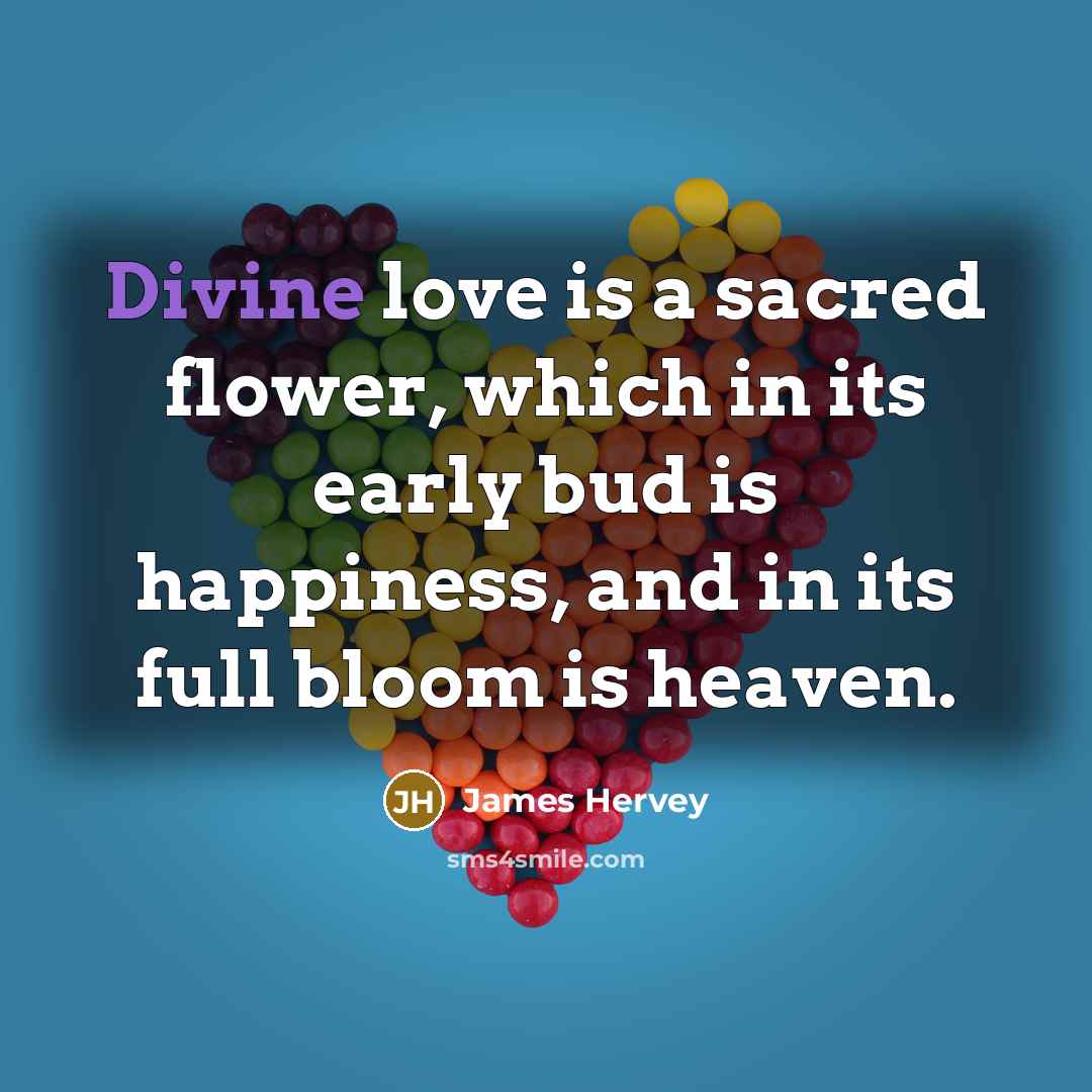“Divine love is a sacred flower, which in its early…” quote by James Hervey