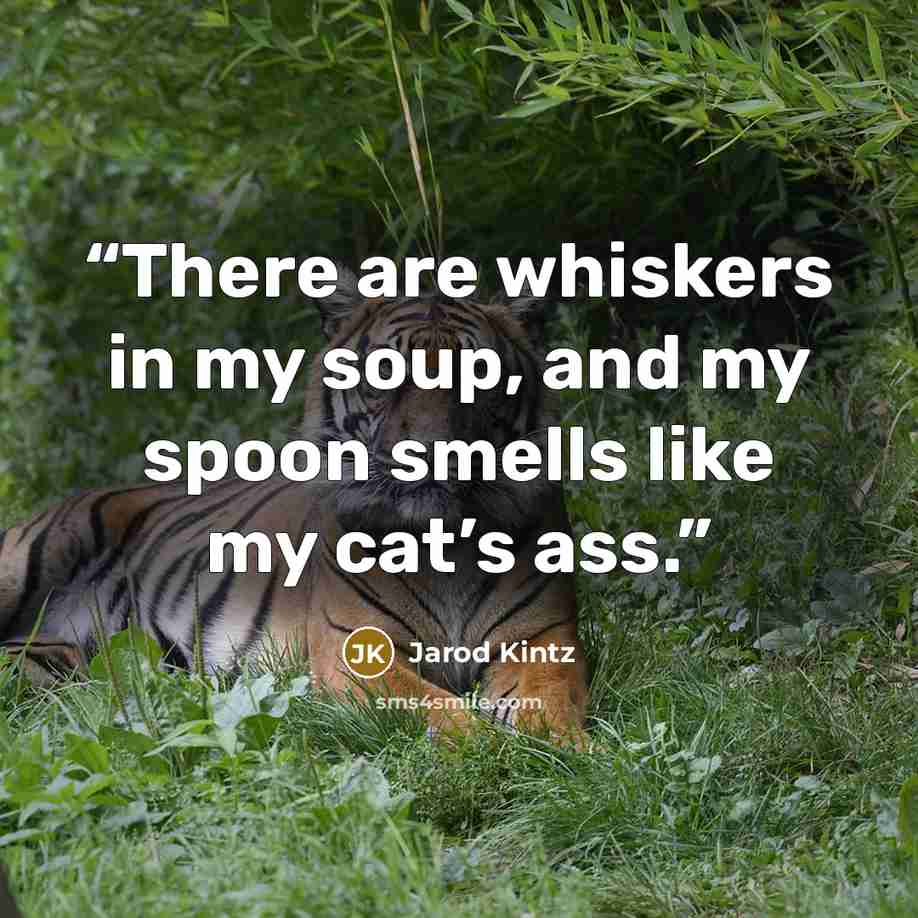 “There are whiskers in my soup, and my spoon smells like my cat’s ass.” quote by Jarod Kintz