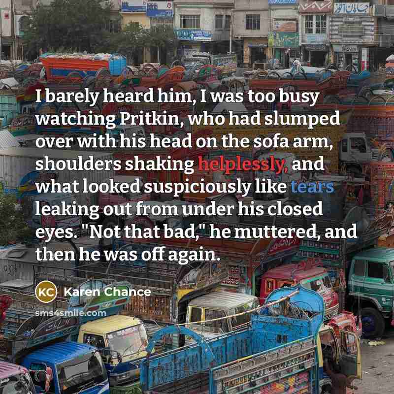 “I barely heard him, I was too busy watching Pritkin,…” quote by Karen Chance