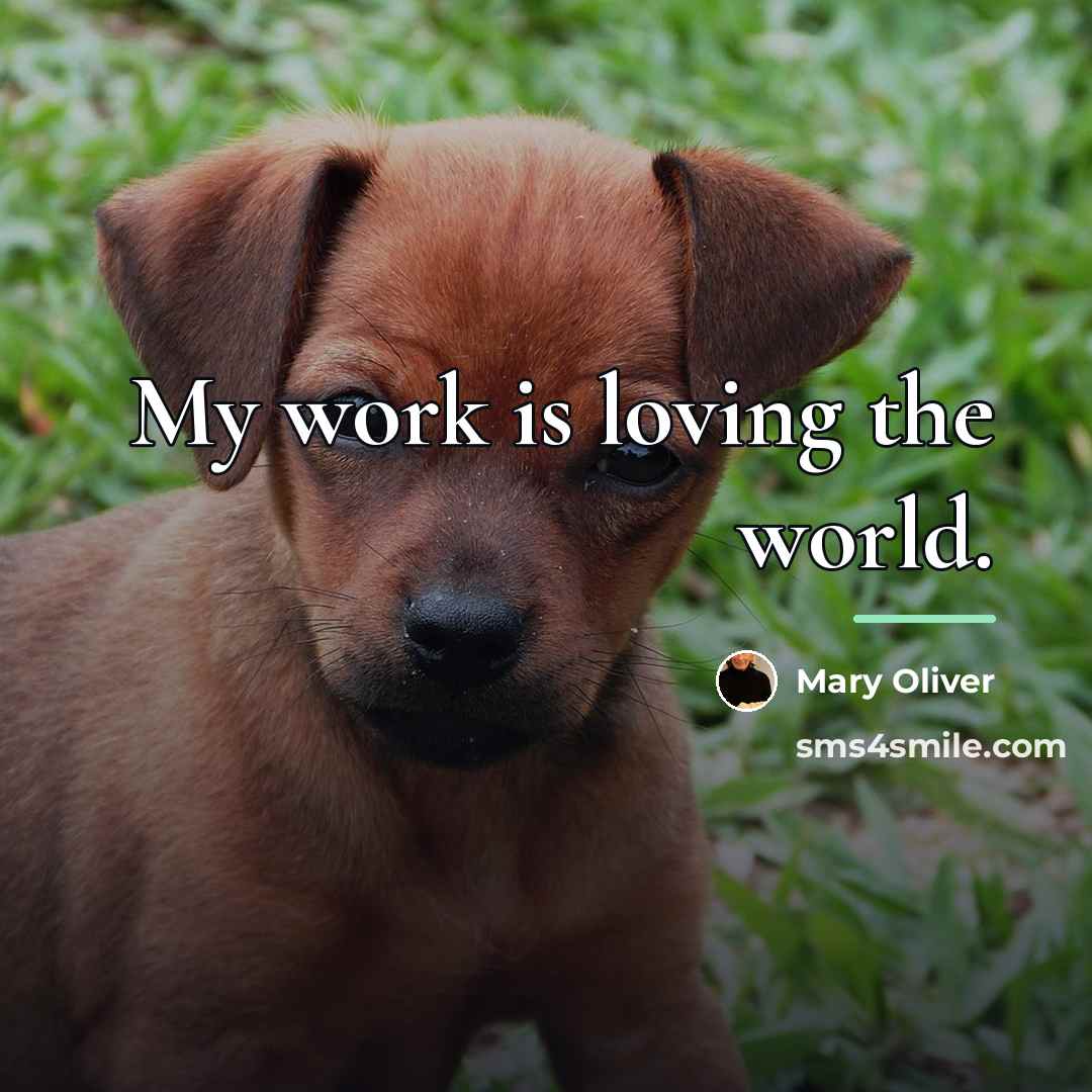 “My work is loving the world.…” quote by Mary Oliver