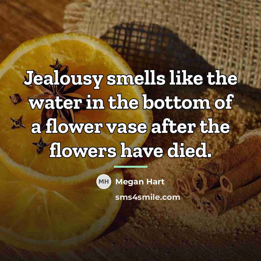 “Jealousy smells like the water in the bottom of a…” quote by Megan Hart