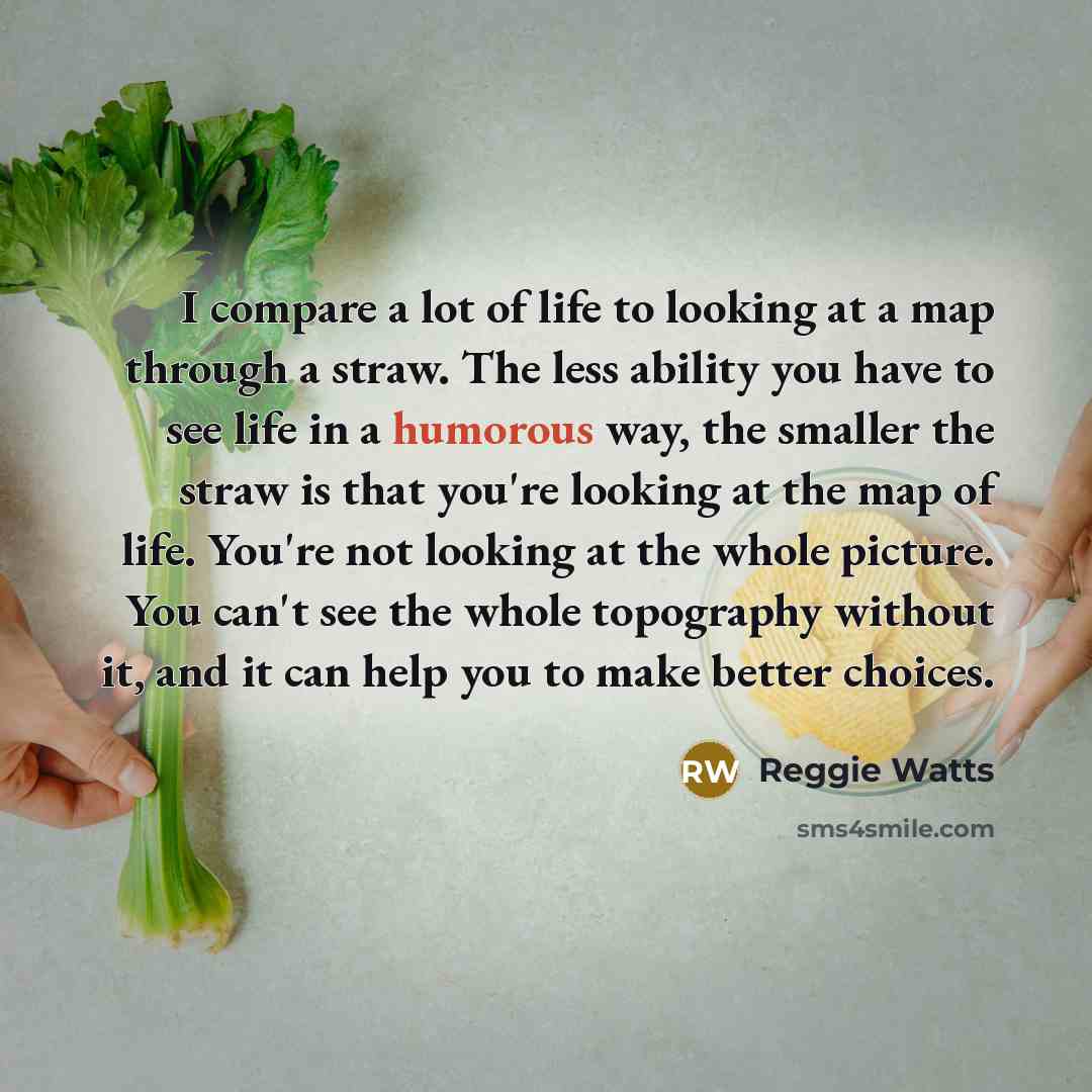 “I compare a lot of life to looking at a…” quote by Reggie Watts