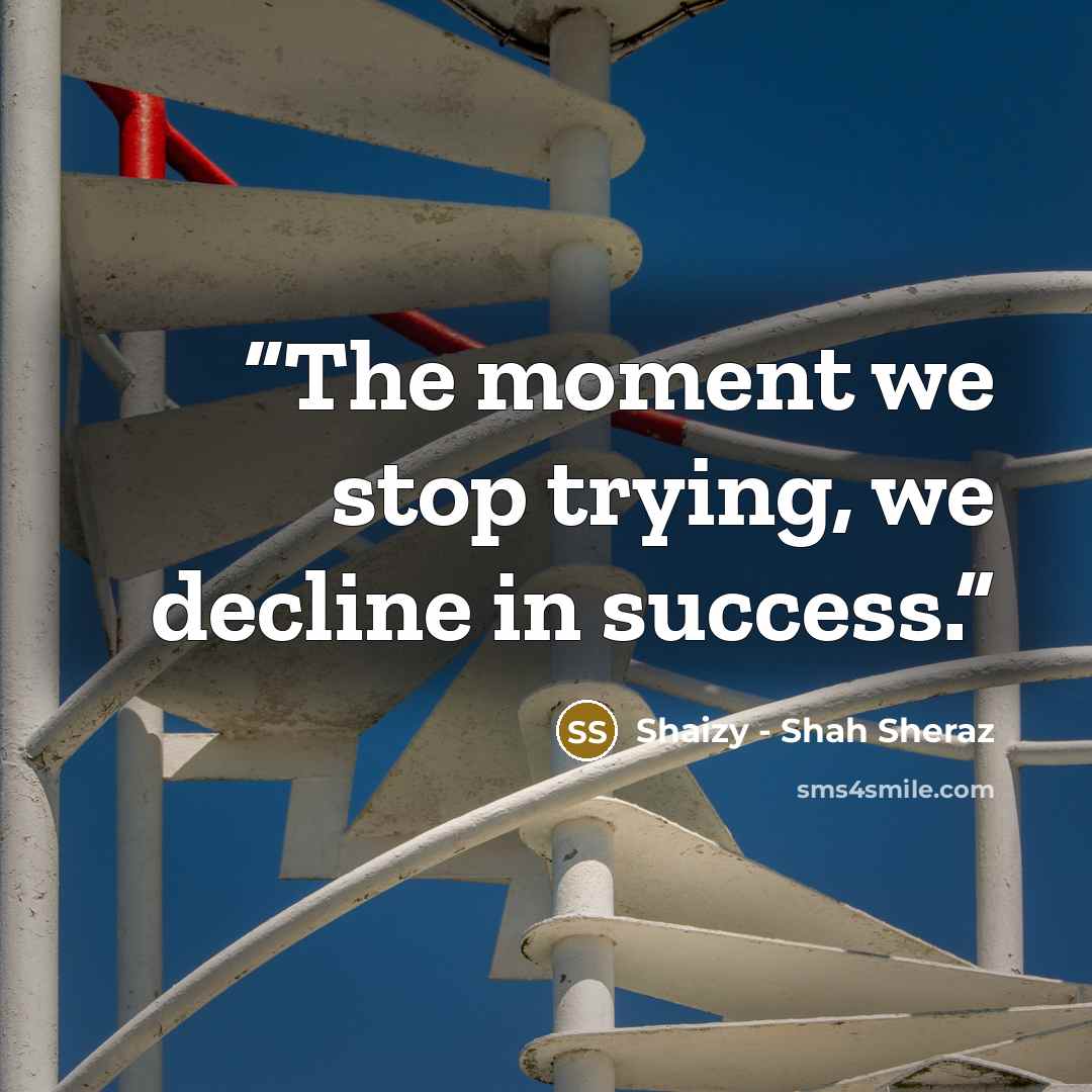 “The moment we stop trying, we decline in success.” quote by Shaizy - Shah Sheraz
