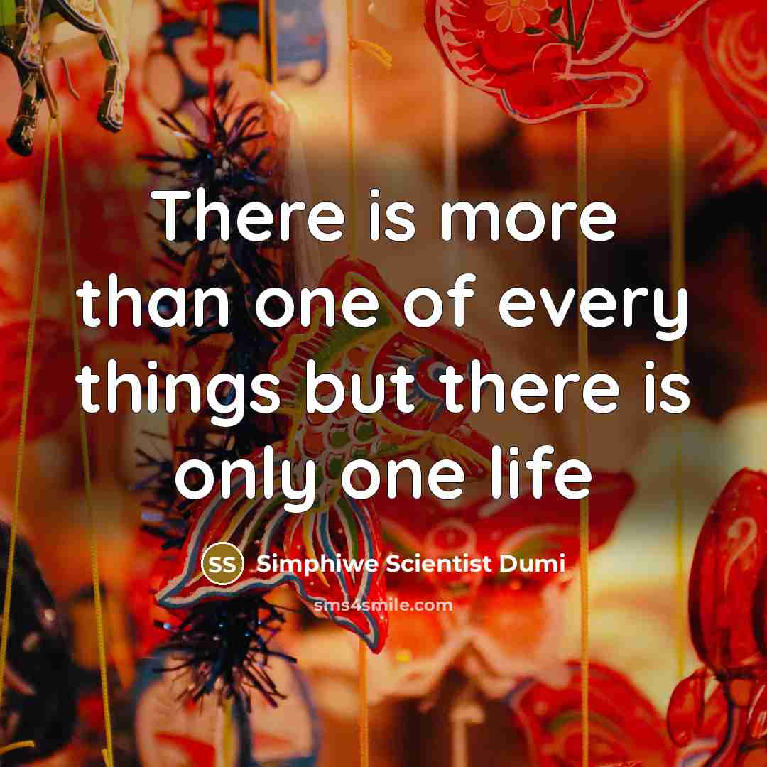 “There is more than one of every things but there…” quote by Simphiwe Scientist Dumi