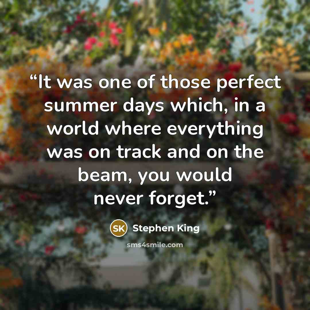 “It was one of those perfect summer days which, in a world where everything was on track and on the beam, you would never forget.” quote by Stephen King