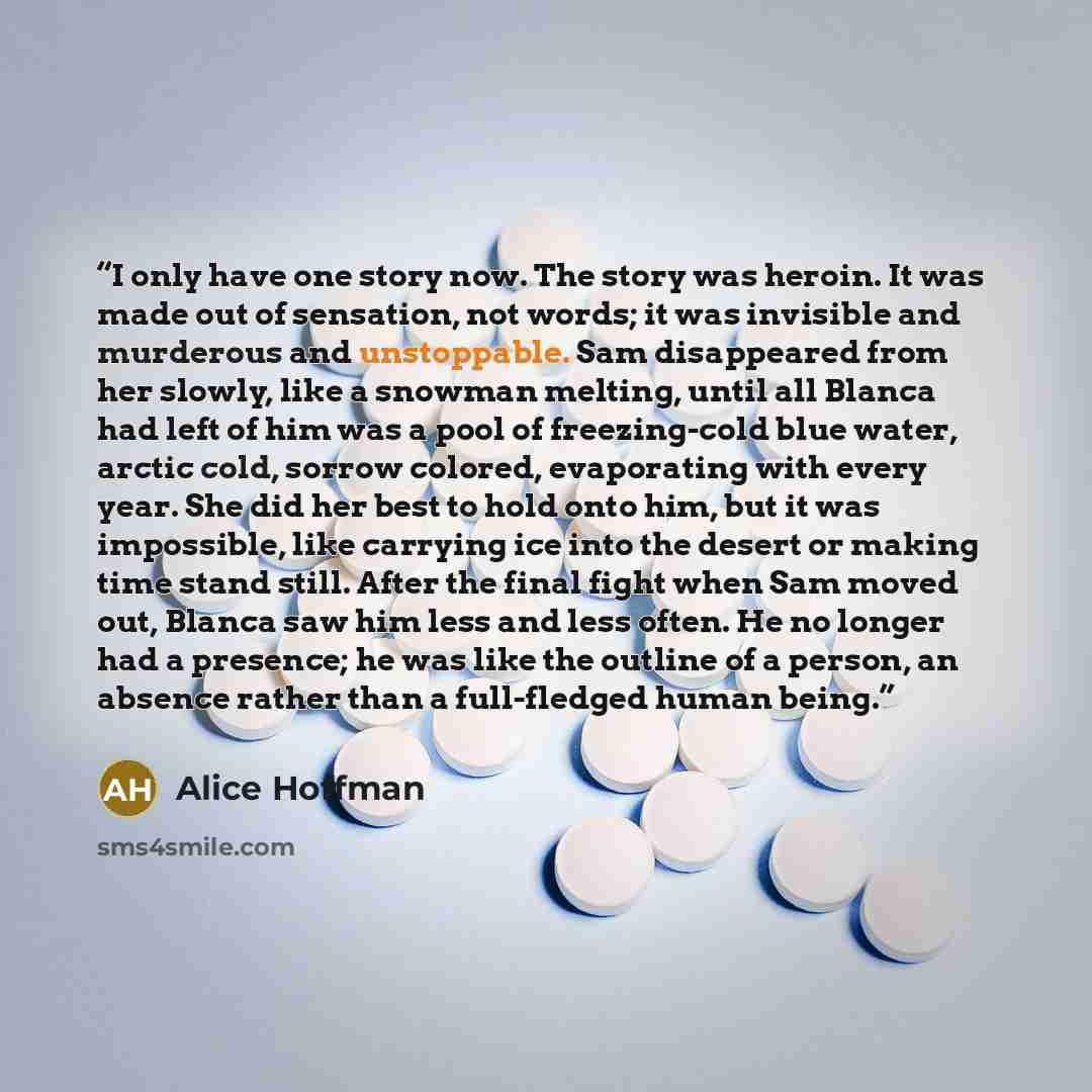 “I only have one story now. The story was heroin. It was made out of sensation, not words; it was invisible and murderous and unstoppable. Sam disappeared from her slowly, like a snowman melting, until all Blanca had left of him was a pool of freezing-cold blue water, arctic cold, sorrow colored…” quote by Alice Hoffman