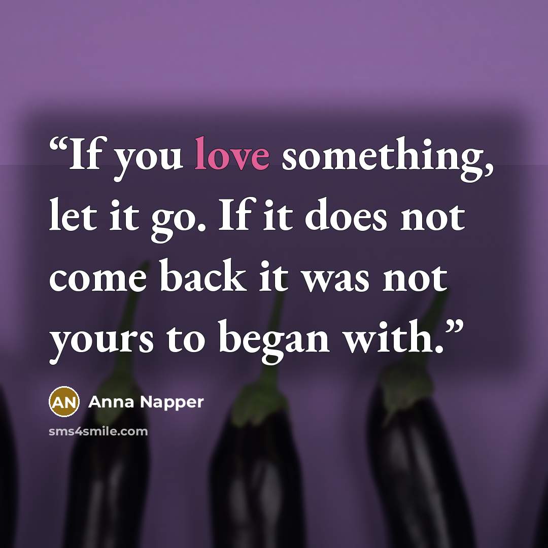 “If you love something, let it go. If it does not come back it was not yours to began with.” quote by Anna Napper