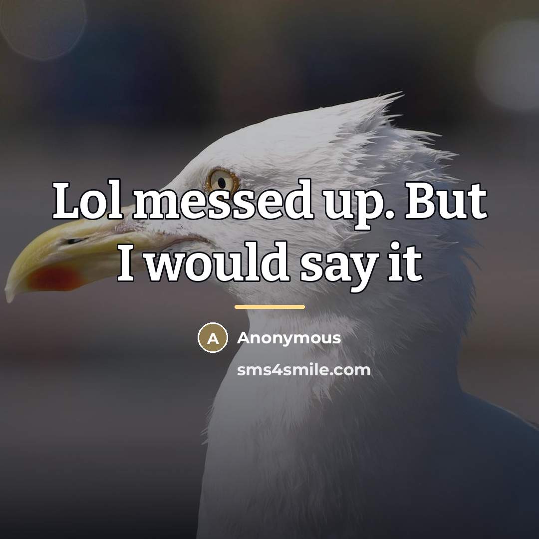 “Lol messed up. But I would say it…” quote by Anonymous