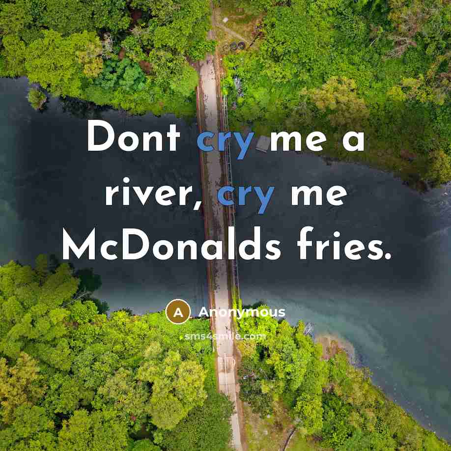“Dont cry me a river, cry me McDonalds fries.” quote by Anonymous
