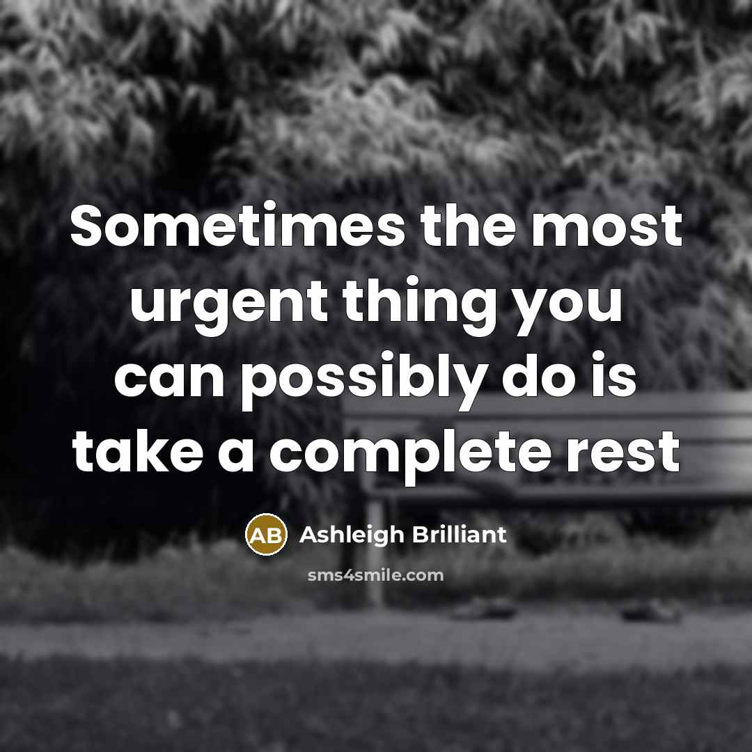 “Sometimes the most urgent thing you can possibly do is…” quote by Ashleigh Brilliant