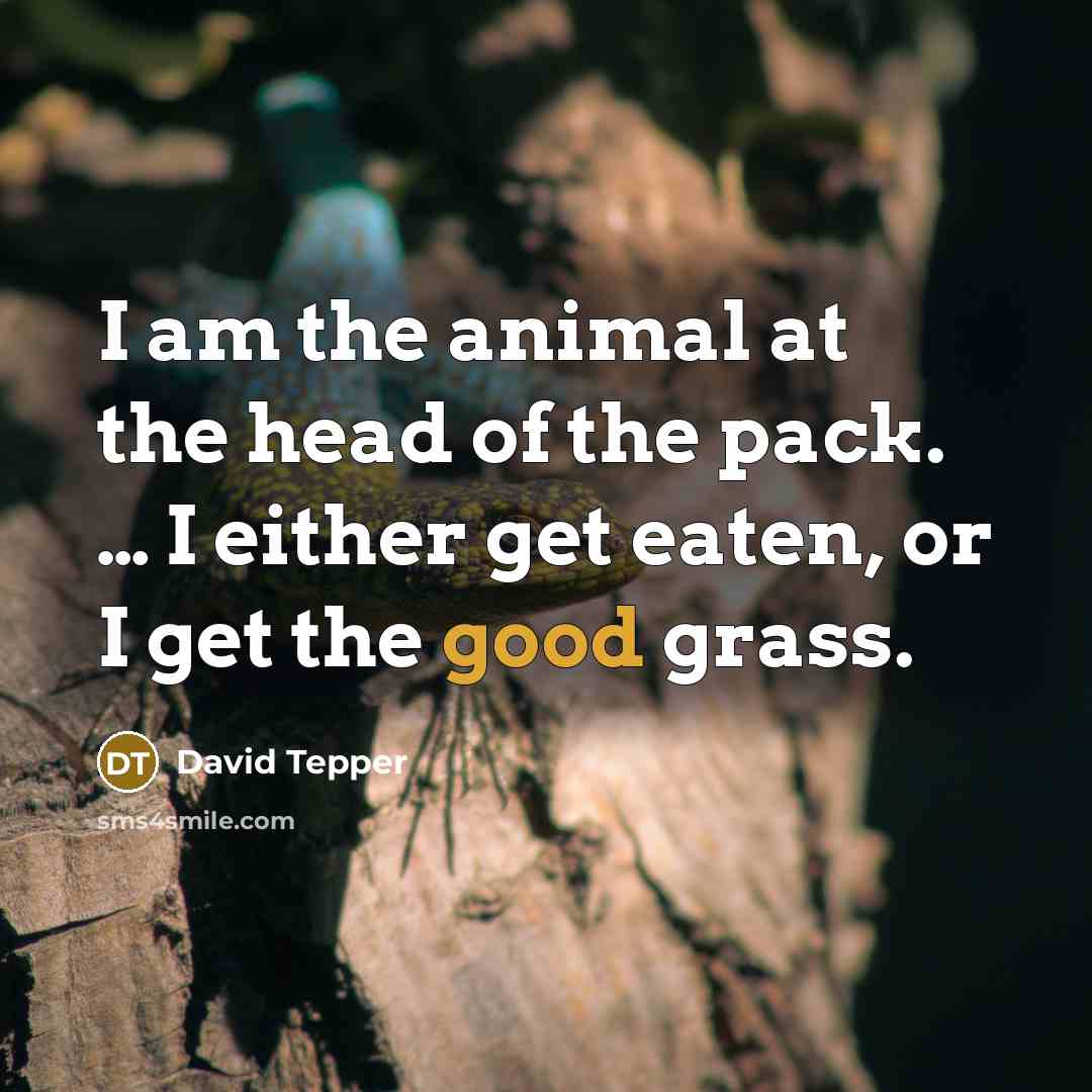 “I am the animal at the head of the pack.…” quote by David Tepper