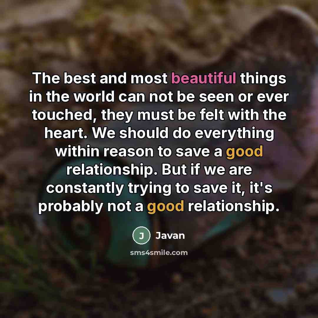 “The best and most beautiful things in the world can…” quote by Javan