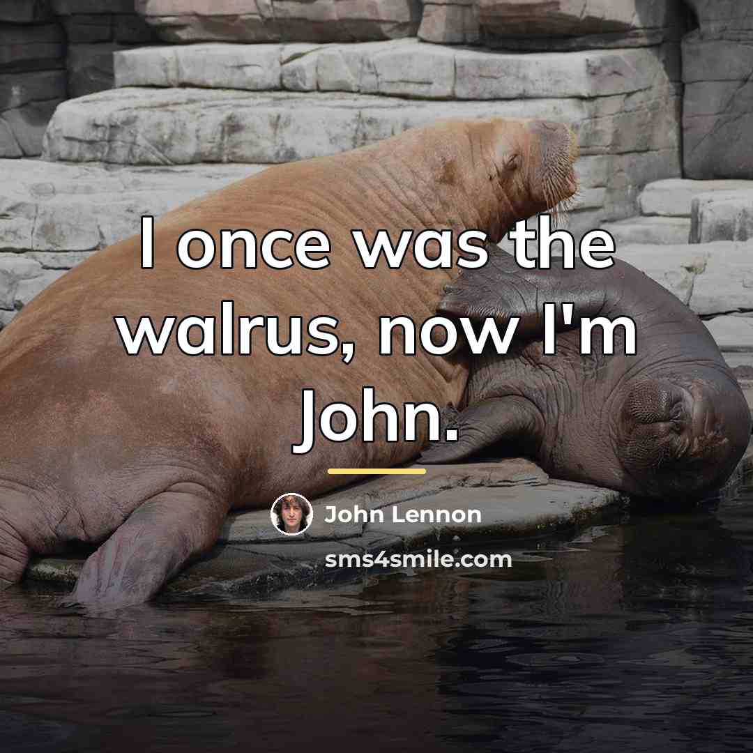 “I once was the walrus, now I'm John.…” quote by John Lennon
