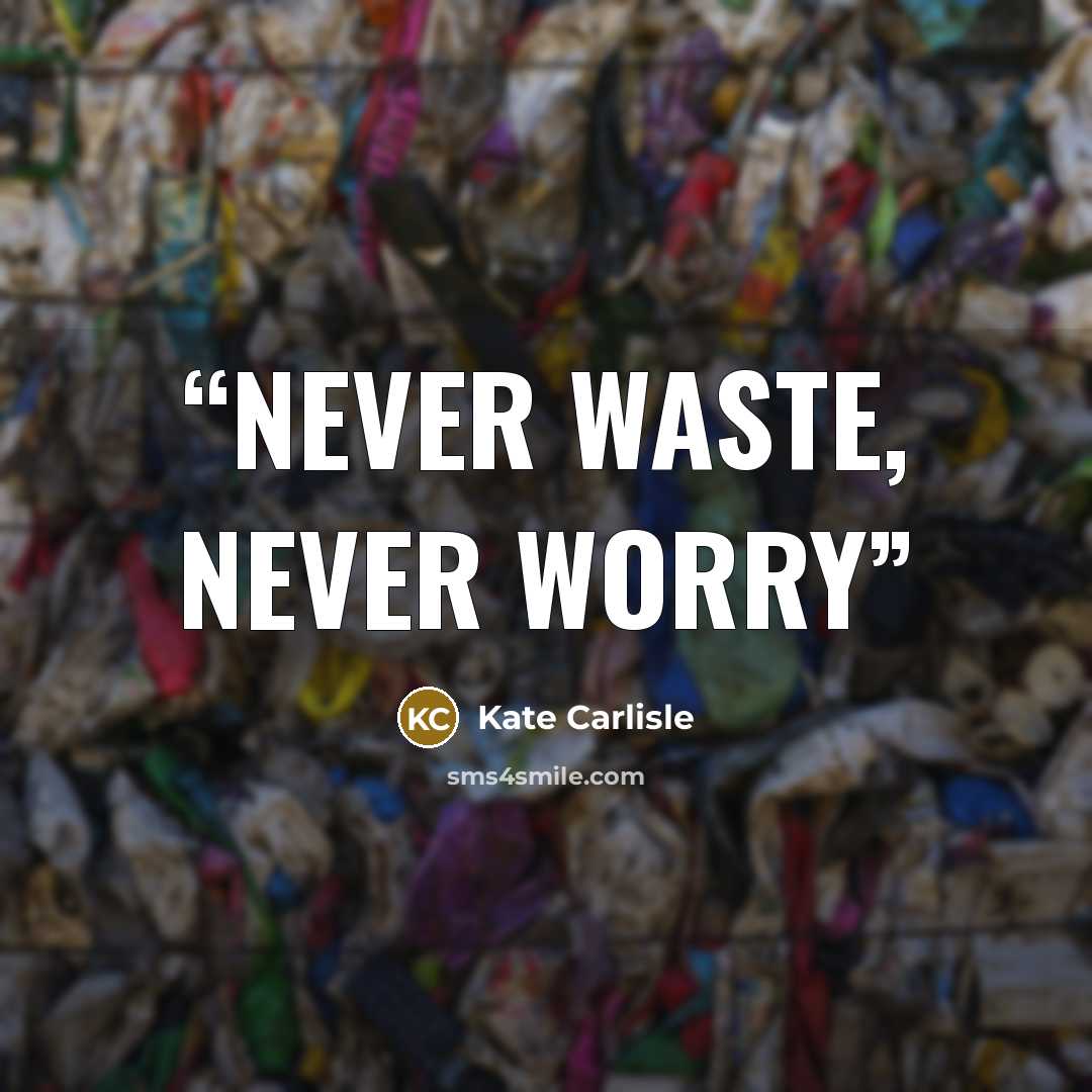 “Never waste, never worry” quote by Kate Carlisle