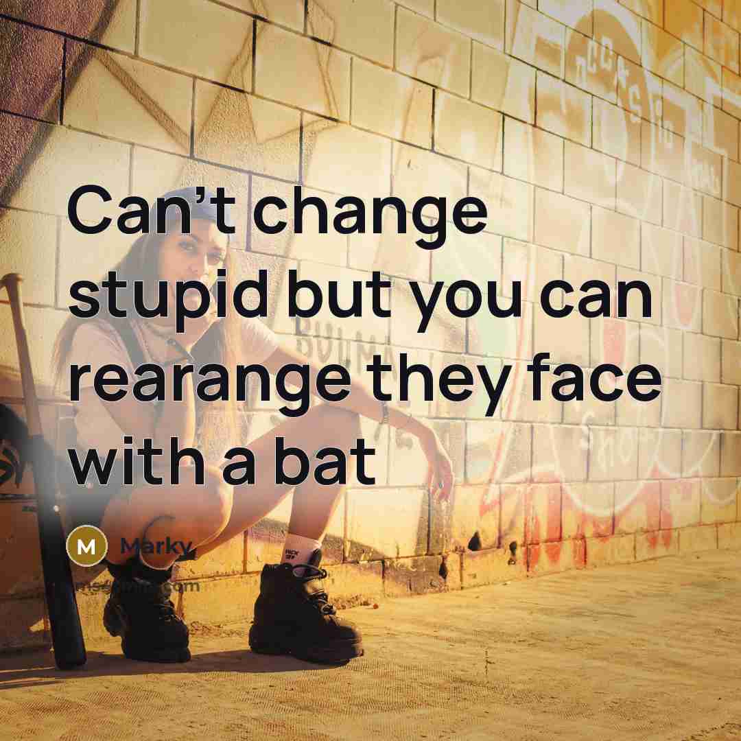 “Can't change stupid but you can rearange they face with a bat” quote by Marky