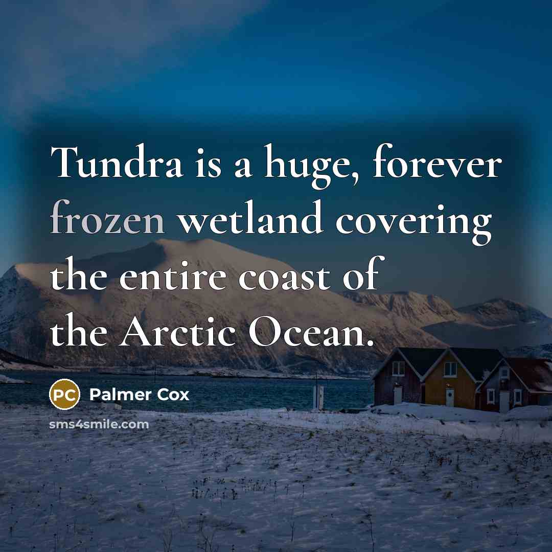 “Tundra is a huge, forever frozen wetland covering the entire…” quote by Palmer Cox