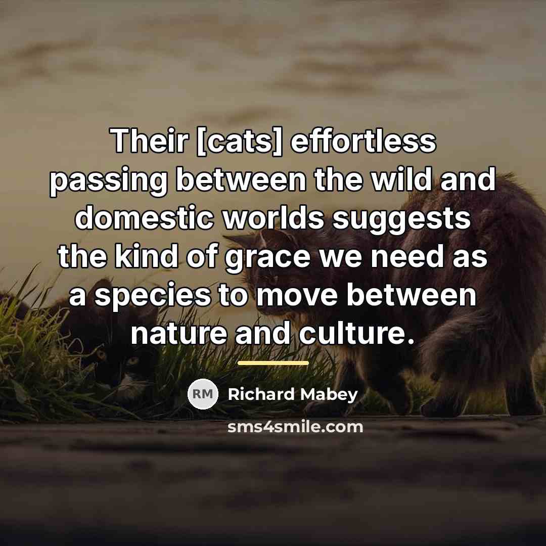 “Their [cats] effortless passing between the wild and domestic worlds…” quote by Richard Mabey