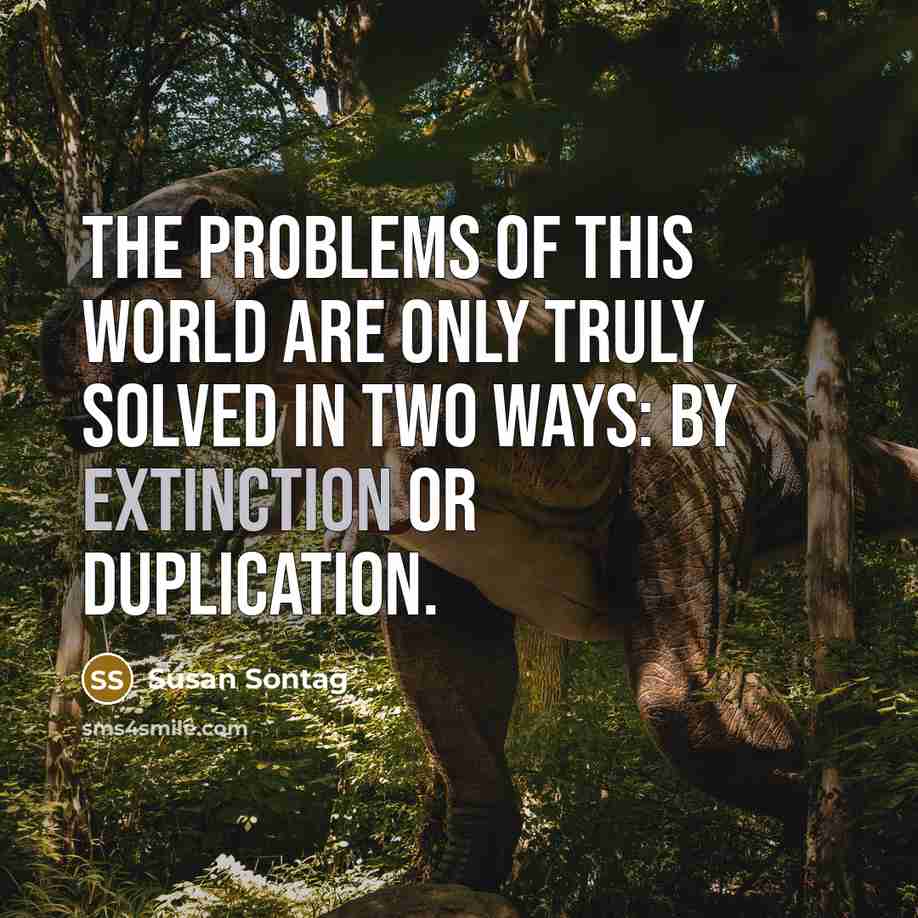 “The problems of this world are only truly solved in…” quote by Susan Sontag