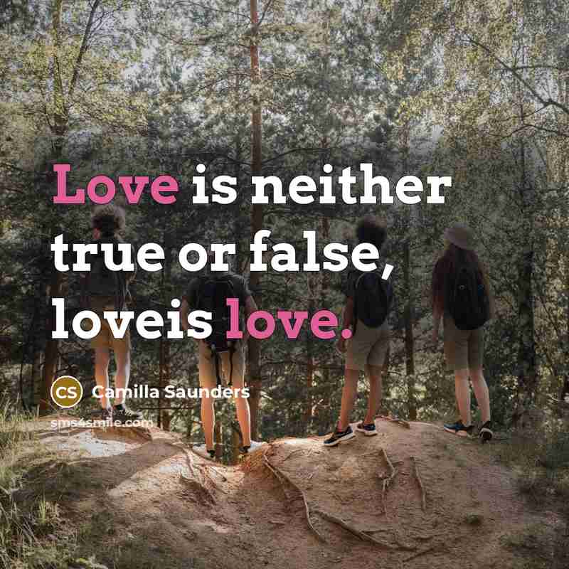 “Love is neither true or false, loveis love.” quote by Camilla Saunders