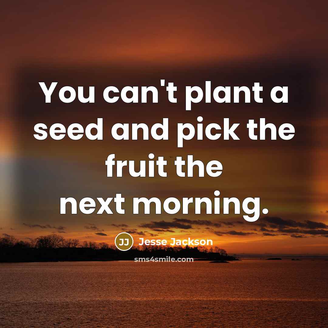 “You can't plant a seed and pick the fruit the…” quote by Jesse Jackson