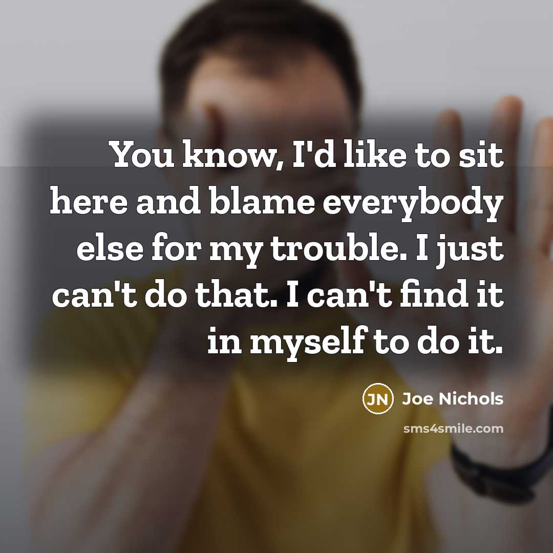 “You know, I'd like to sit here and blame everybody…” quote by Joe Nichols