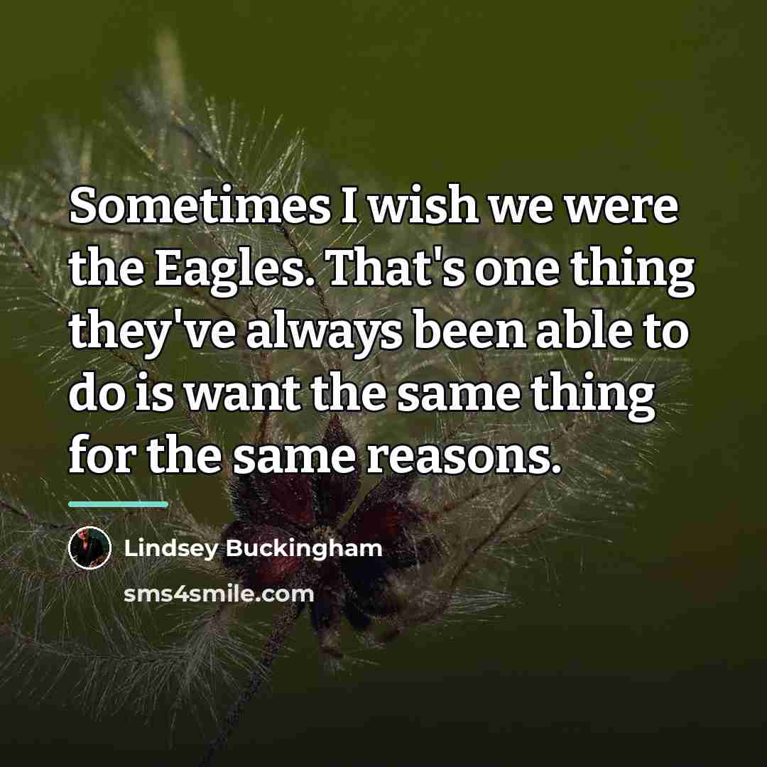 “Sometimes I wish we were the Eagles. That's one thing…” quote by Lindsey Buckingham