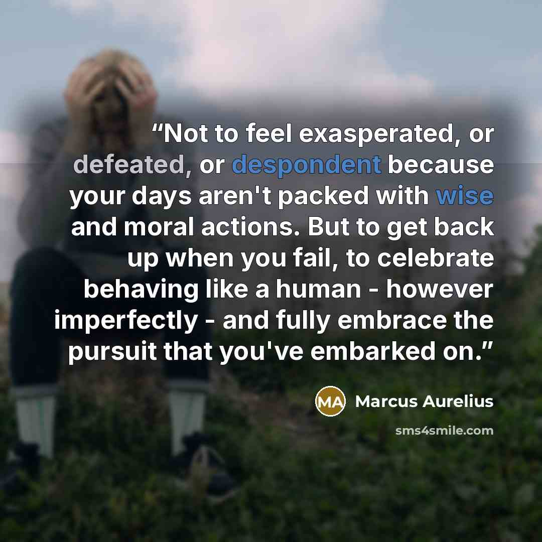 “Not to feel exasperated, or defeated, or despondent because your days aren't packed with wise and moral actions. But to get back up when you fail, to celebrate behaving like a human - however imperfectly - and fully embrace the pursuit that you've embarked on.” quote by Marcus Aurelius