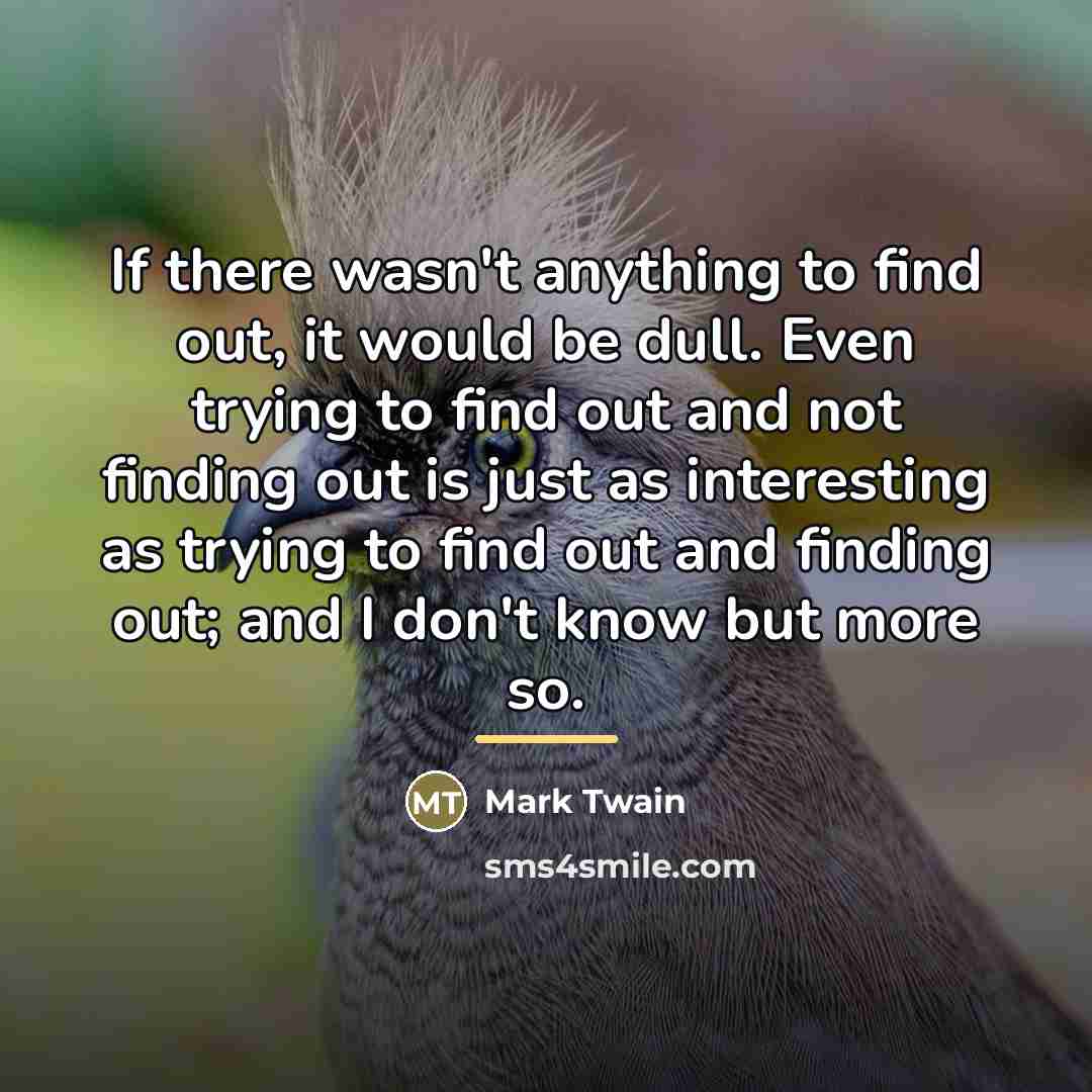 “If there wasn't anything to find out, it would be…” quote by Mark Twain