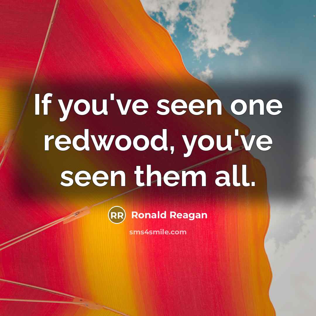 “If you've seen one redwood, you've seen them all.…” quote by Ronald Reagan