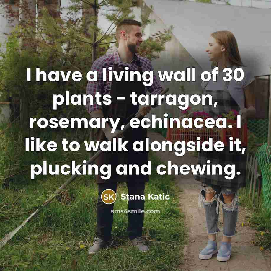 “I have a living wall of 30 plants - tarragon,…” quote by Stana Katic