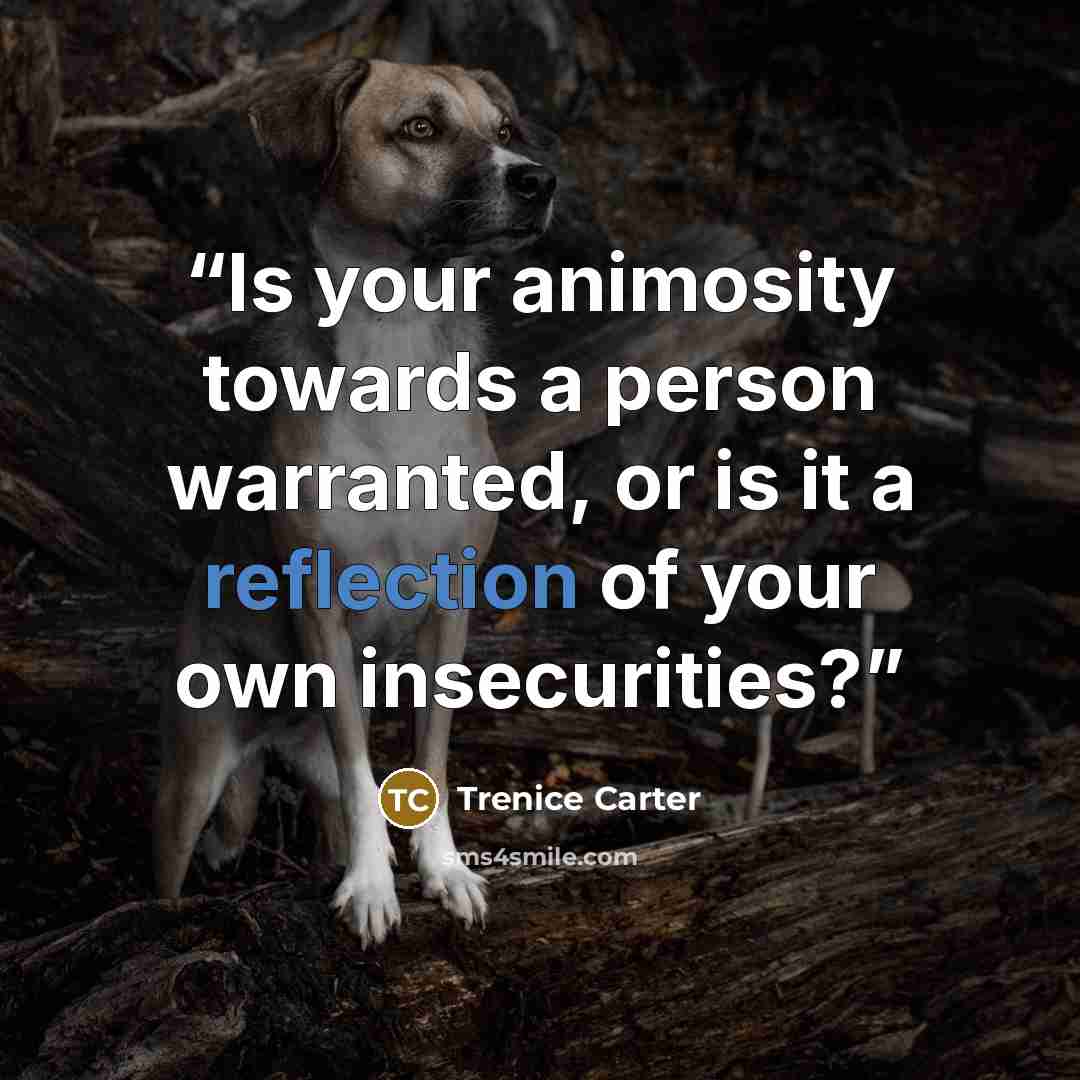 “Is your animosity towards a person warranted, or is it a reflection of your own insecurities?” quote by Trenice Carter