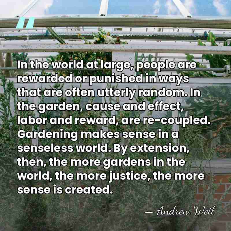 In the world at large, people are rewarded or punished in ways&hellip; - Andrew Weil