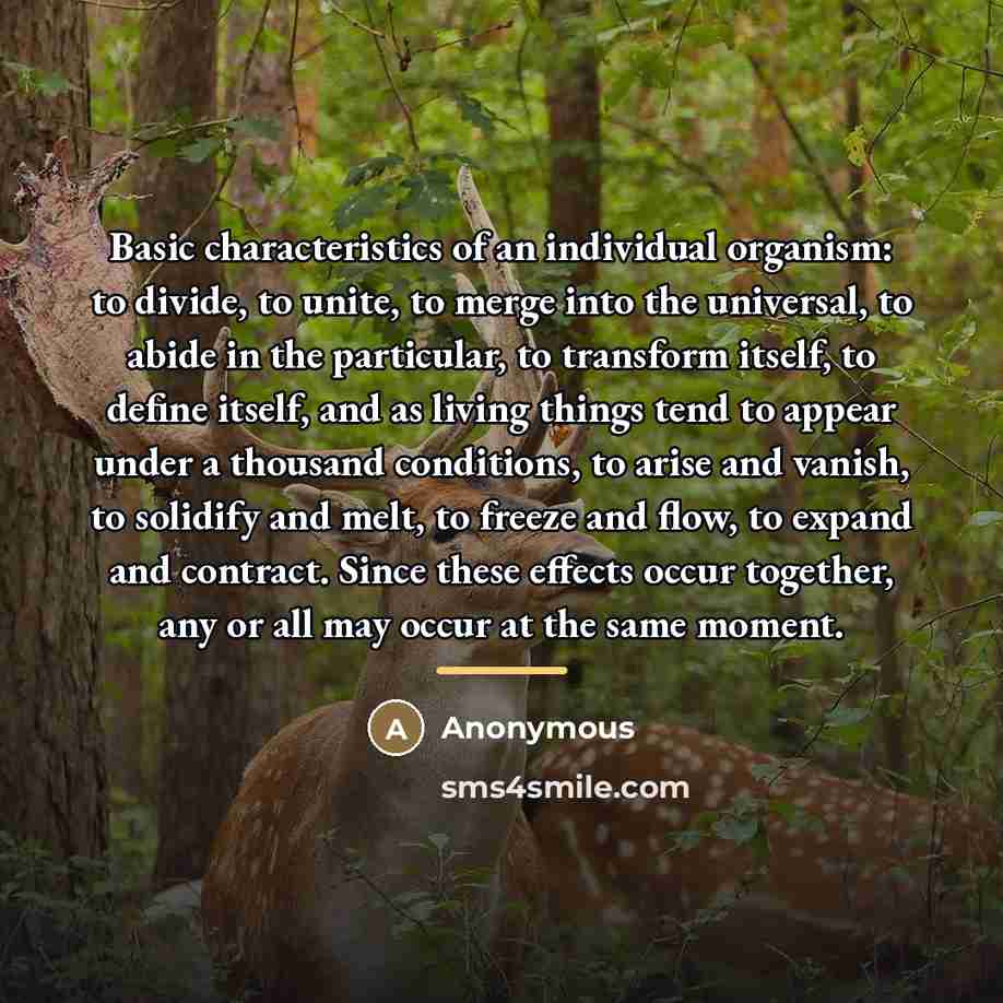 “Basic characteristics of an individual organism: to divide, to unite,…” quote by Anonymous