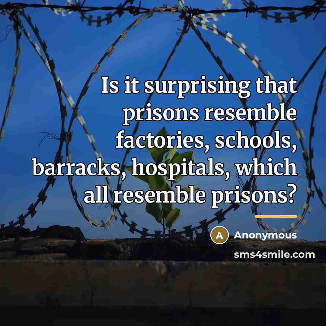 “Is it surprising that prisons resemble factories, schools, barracks, hospitals,…” quote by Anonymous