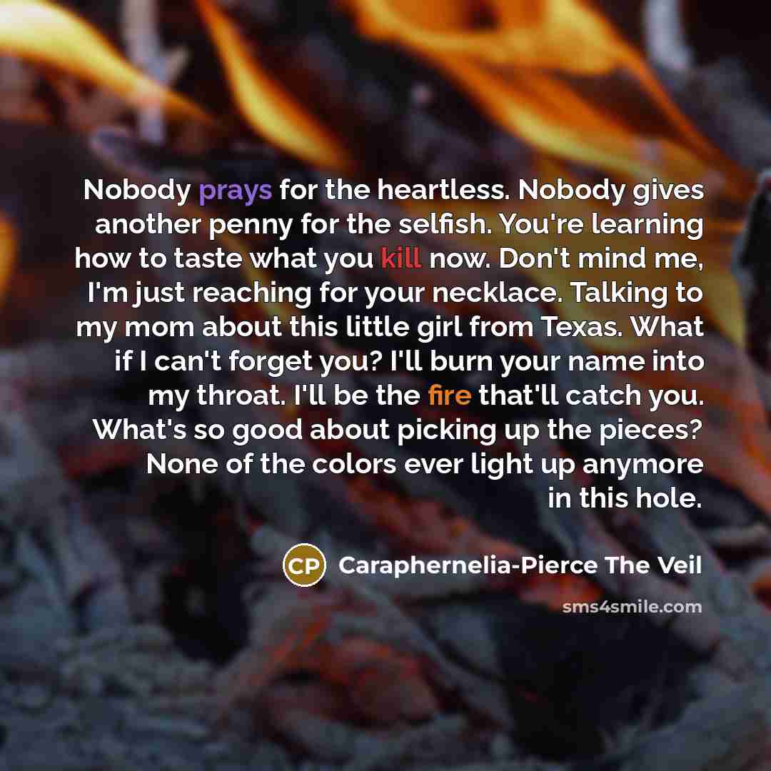 “Nobody prays for the heartless. Nobody gives another penny for the selfish. You're learning how to taste what you kill now. Don't mind me, I'm just reaching for your necklace. Talking to my mom about this little girl from Texas. What if I can't forget you? I'll burn your name into my throat. I'll…” quote by Caraphernelia-Pierce The Veil