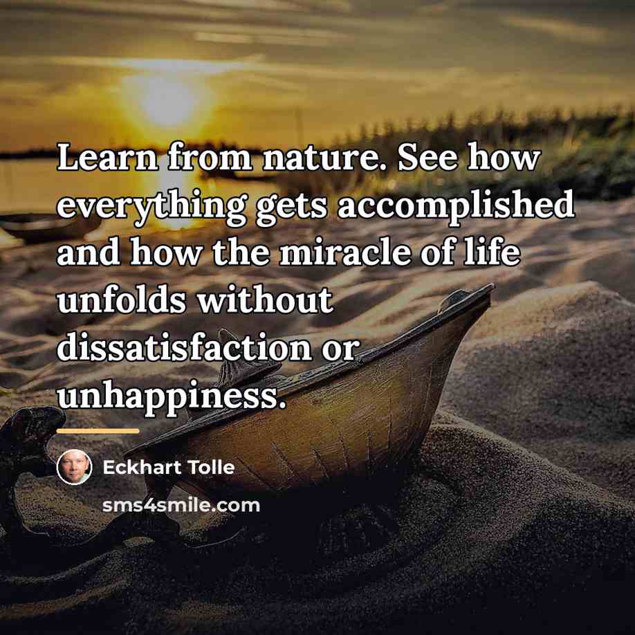“Learn from nature. See how everything gets accomplished and how…” quote by Eckhart Tolle