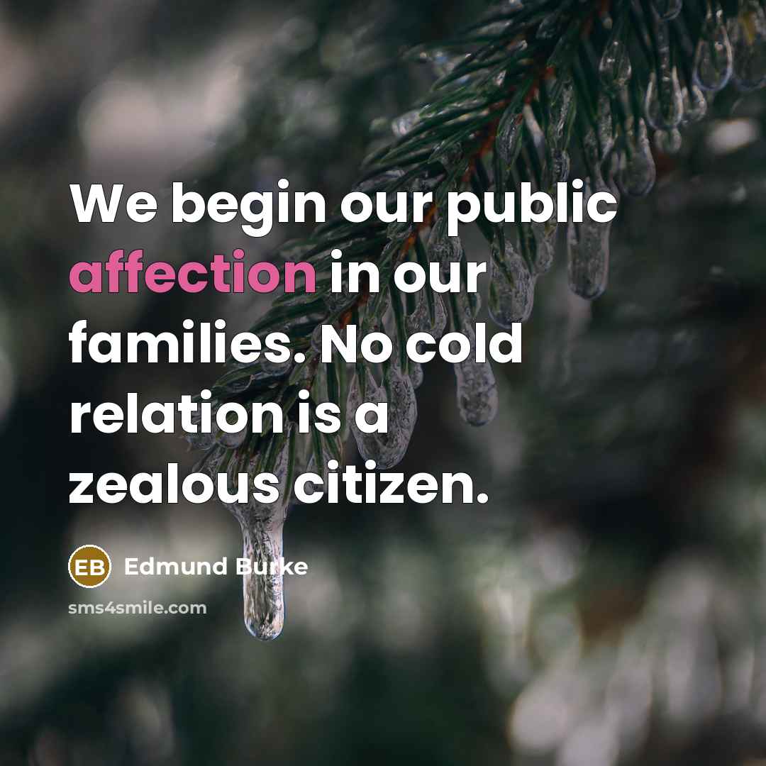 “We begin our public affection in our families. No cold…” quote by Edmund Burke