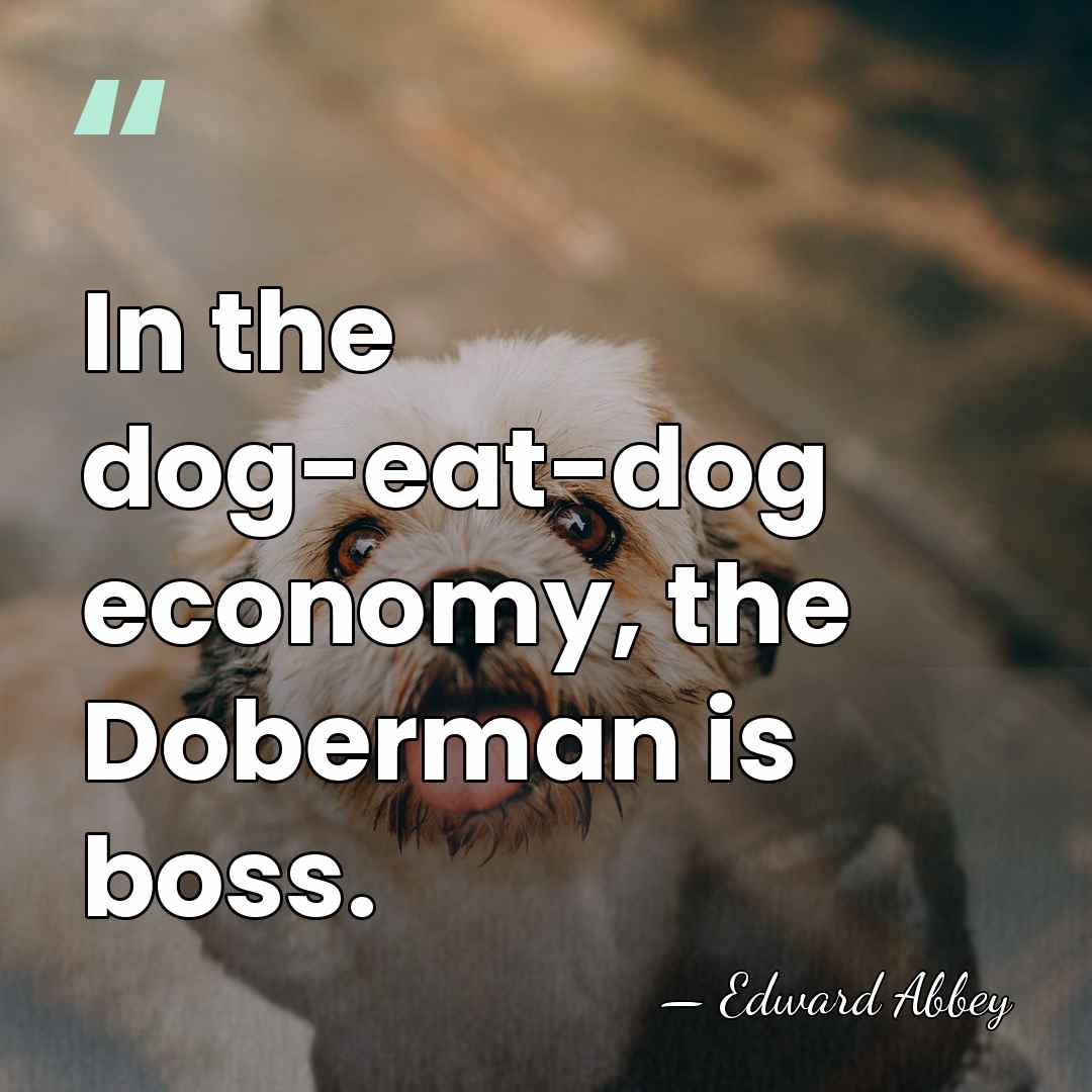 In the dog-eat-dog economy, the Doberman is boss. - Edward Abbey