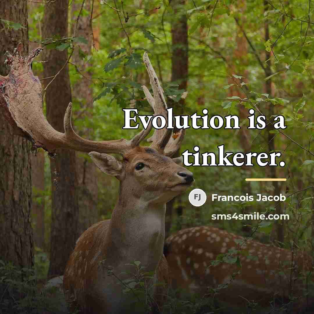“Evolution is a tinkerer.…” quote by Francois Jacob