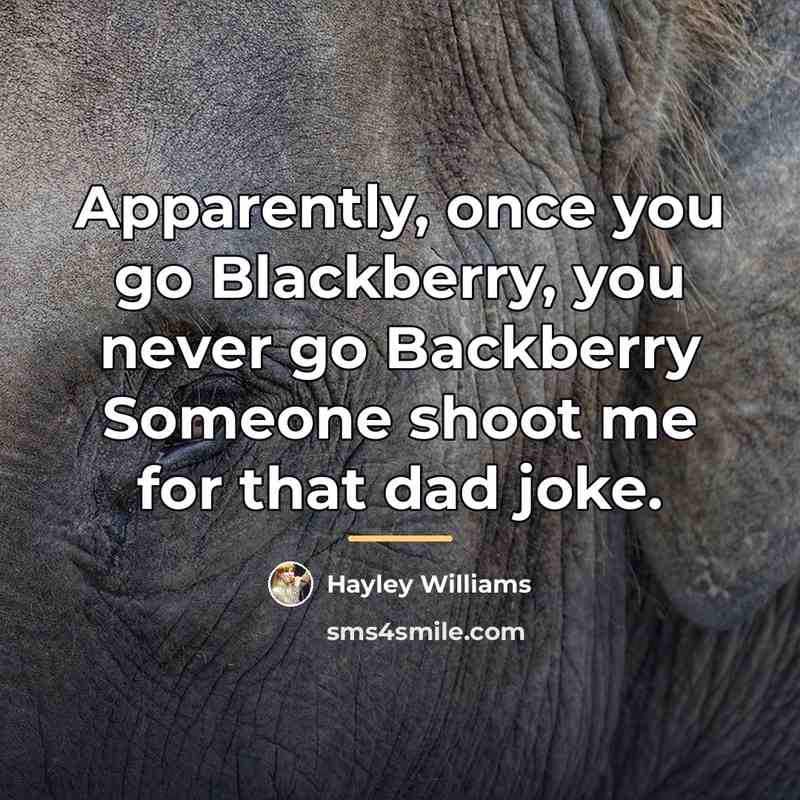 “Apparently, once you go Blackberry, you never go Backberry Someone…” quote by Hayley Williams