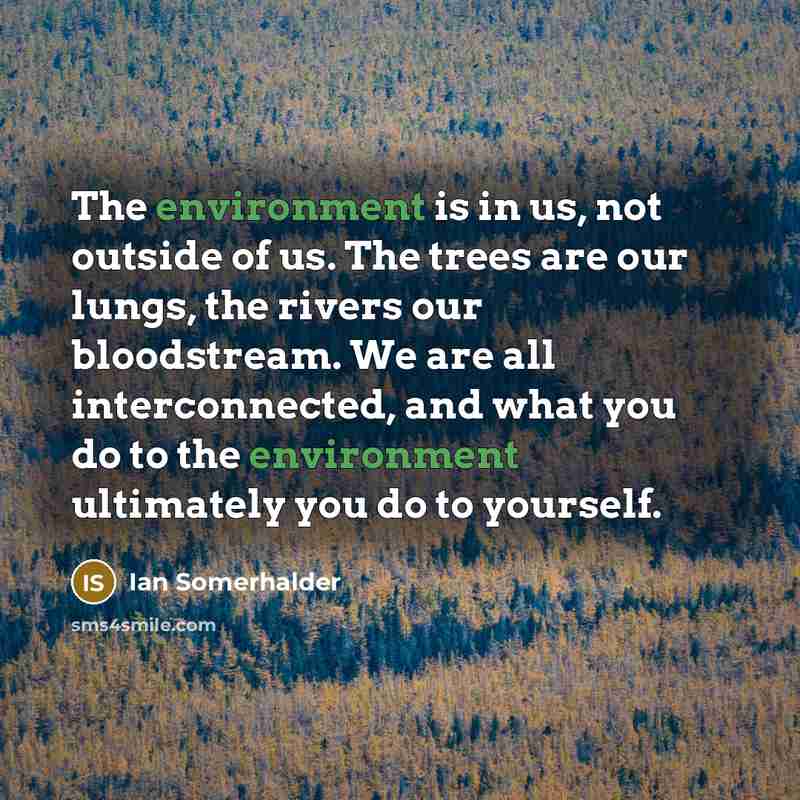 “The environment is in us, not outside of us. The…” quote by Ian Somerhalder