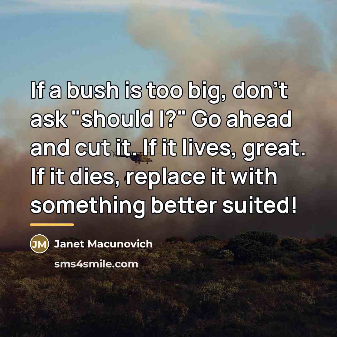 “If a bush is too big, don't ask "should I?"…” quote by Janet Macunovich